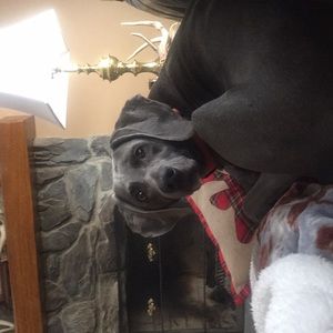 Meet your Posher, Lisa